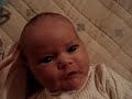 bebe