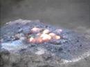 Thermite Thermite