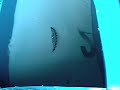 Home made vibratory polisher