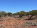 Ride Across Half Way of Australia Part 1
