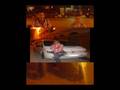 videos de hichamm
