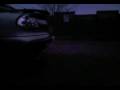 videos de tigra night