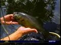 Tight Lines-ESPN Spot Back Roads w/ Ron and Raven Trout Bum