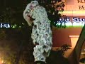 kun-seng-keng-perform-at-digital-mall-2012007.html