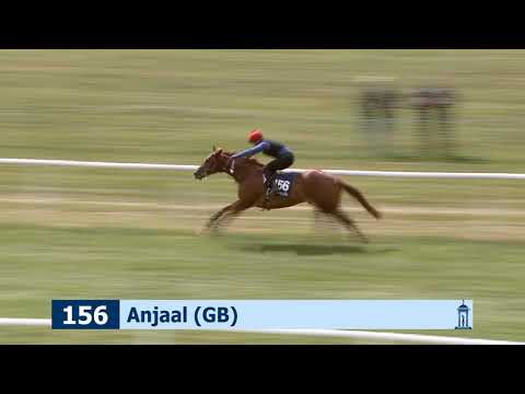 Guineas Breeze Up Sale - Breezes (Lot Order)