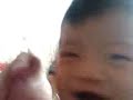 wua wua wua wua wua wua wua wua wua wua wua wua