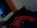 videos de Poodle Loucoooo