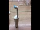 Electrical Tootbrush Poltergeist Electrical Tootbrush Poltergeist