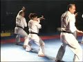 kyokushinkai satori