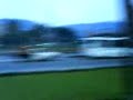 MOV00009 NEW