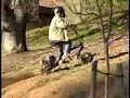 GO PED GO PED