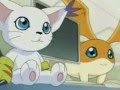 Patamon and Gatomon in love
