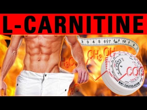 L-Carnitine - was ist das, wie wirkt es, wofür ist es gut?