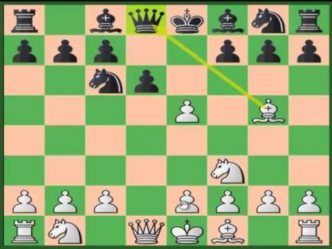 chess chess