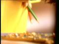 videos de mozart y la inteligencia