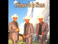 Los Primos De La Sierra - Lamberto Quintero