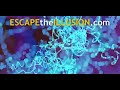 Galactic Federation Udpate - 2008-08-12