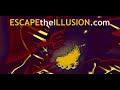 Galactic Federation Udpate - 2008-08-12