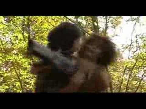 Methuselah Trailer
