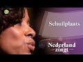 videos de Schuilplaats