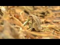 Colorado Farm Says Listeria Found in Cantaloupe ...