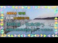 2021.2 伊豆沼・内沼 / 化女沼へ白鳥を観に出かけて来た!!