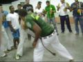 rodo do araés (professor veto)