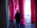 The wonders of the pink forest