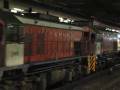 All GM EMD G26 (60 Peter Quick 61 and 62) pass the Sha Tin Station in same time