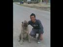 Lethem