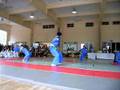Vovinam Performance at October 10th School, August 24
