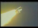 WSVN Space Shuttle News WSVN Space Shuttle News