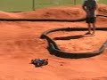 Brushless Mugen MBX5R - Black Friday Track Bash