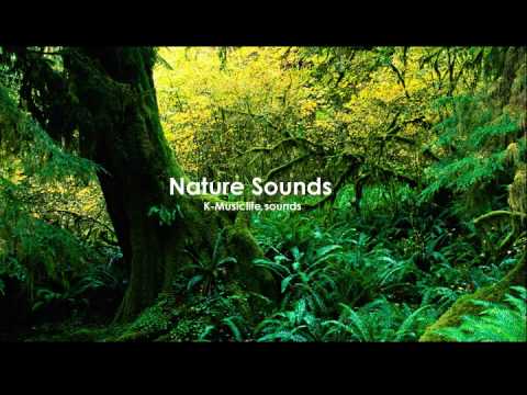Nature Sound 4 - THE MOST RELAXING SOUNDS -