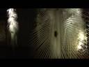 Future-Architecture-