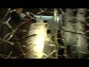Future-Architecture-