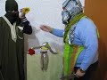 rapimento macaca mulatta