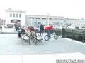 thinkbikes.com - spode does san fransisco