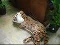 George of the Jungle