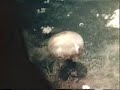 Nagasaki Bomb