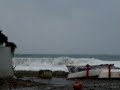 22 novembre 2008