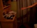 videos de mostrando la casa de micaa