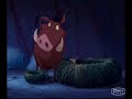 Tribute to Timon and Pumbaa Tribute to Timon and Pumbaa