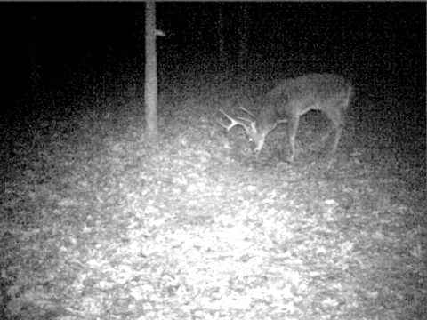 forsyth county ga forsyth county ga