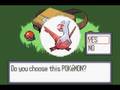 Pokemon-Different-Th
