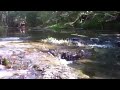 Click here to watch this video IMG 1243