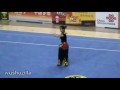 11th ACG - NQ - Bian Ruyan (Guangdong)