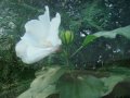 mare-vilo-moja.html