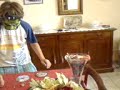 dementi dementi