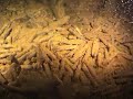 The Heian Maru - Truuk Lagoon